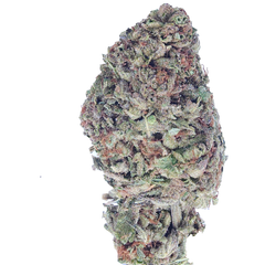 BC (AAA) MC1