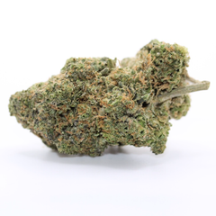 92 Octane - Premium AAAA ⛽️