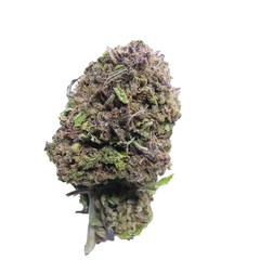 BC (AAA) BLUEBERRY KUSH (20% THC)