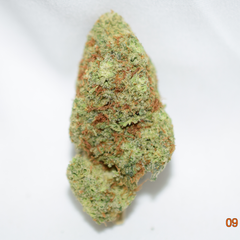 Cheese Quake Indica Dominant Hybrid AAA