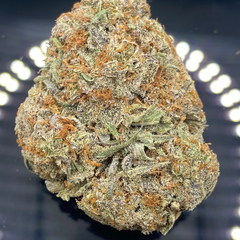 * NEW * Gorilla King 4A