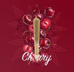 1 x 0.5g Infused Sticky Banger Pre-Roll Indica Cherry by KushKraft