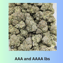 Wholesale AAA and AAAA lbs starting at $450 [Read Description]