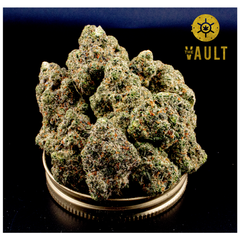 AAAA+ | KNOCKOUT PINK - ⛽️VAULT SPECIAL⛽️ 