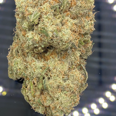 * NEW *  Astro Queen 3A