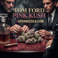 14G - Tom Ford Pink Kush⛽️😮‍💨Indica | 2Oz Bulk Deal for $240