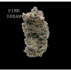 PINK DREAM
