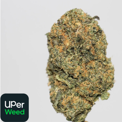 (28G) - Animal Cookies 🍪 - 4Oz Bulk Deal for $200