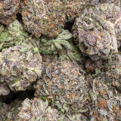 PINK NIGHTMARE AAAA 👻 🎀 