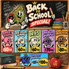 GO BACK TO SCHOOL WITH QUALITY KINGS!