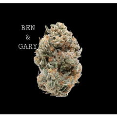 BEN & GARY