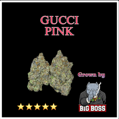 GUCCI PINK - BIG BOSS COMICS🔥🔥🔥🔥🔥  