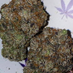 Pink Diddy 🔥⛽️