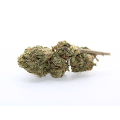 Black Cherry Soda - AAA