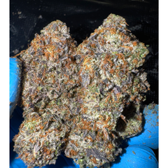 [NEW] LSO Pink Tuna 2.0 AAAA+(5*)