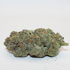 KING TUT AAAAA+💥 (SUPERLOUD) 🔥