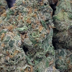 (NEW) Cinderella 99  **$140oz**  SATIVA