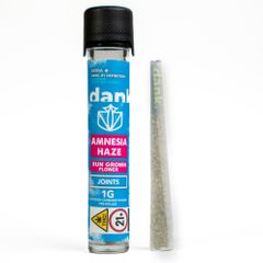 Amnesia Haze 1g Sungrown Preroll | Dank