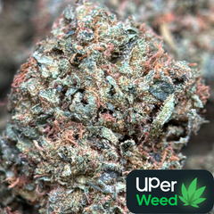 (28G) - Crazy Glue 🫨😮‍💨 Indica - 5Oz Bulk Deal for $200