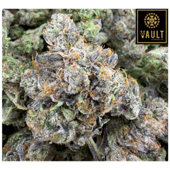  L.S.O PINK GLADIATOR - 3.5g/7g (AAAA+)