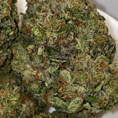Pink Diamond 💎(BC grown)