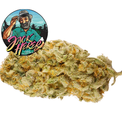 Jack Herer