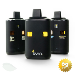 Burn Dual Chamber 6g THC Vapes