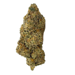 (INDICA) Gaz Money