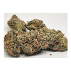 Grapefruit Haze AAAA