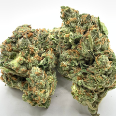 *Special* Inside Joke 4A