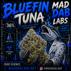 BLUEFIN TUNA🔥🔥🔥🔥🔥