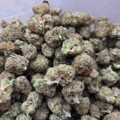 Purple Monkey Balls  2/ $135 