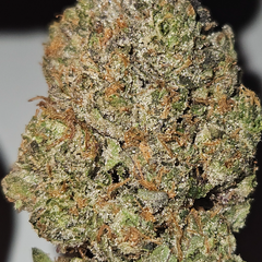 ☆☆☆5STAR LOUD ⛽️☆☆☆ GREASY RUNTZ 35%THC INDICA AAAAA