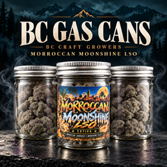 [AAAA+] BC GAS CAN - Morroccan Moonshine - Sativa - 14G 