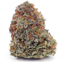 Greasy Runts OG - High Quality 