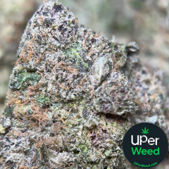 (28G) - Banana Cream Pie 🍌🥧 Hybrid - 4 Oz Bulk Deal for $250