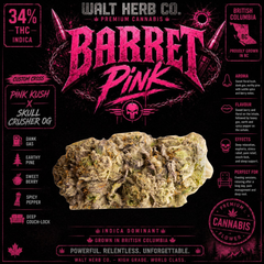 Barret Pink: 14g