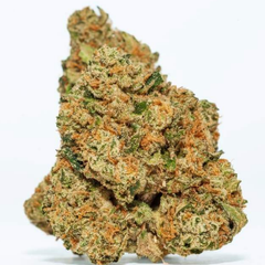 El Chapo BUY 1 OZ Get Free 1/2 OZ 4A