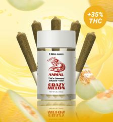 5pk(3G) Crazy Melon / THCa Diamond infused Joint