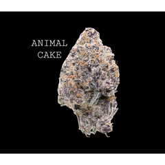 ANIMAL CAKE