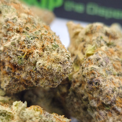 (NEW) Orange Creamsicle 🍊 (On Sale $120/Oz)