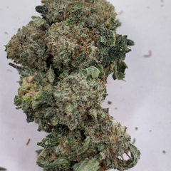 *NEW* Dosi Diesel Fuel // 2oz $140