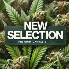 California Buds