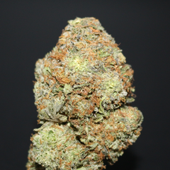 AAAA | PALMDALE PINK BY GAS TOWN - 7G