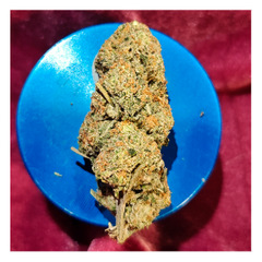 *Sum'r 🔥Sale* Gelato (7g-$45/14g-$60/28g-$110) (28% THC) 