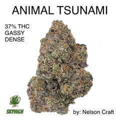 ANIMAL TSUNAMI (GASSY/DENSE/STICKY) - AAAAA+ INDICA 37% THC (2 OZ $350) (NELSON CRAFT)