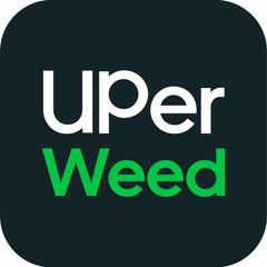 Uberr Weed CA 