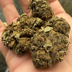 $25/oz All gas ( budget weed )