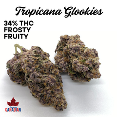 ( 5 STAR ) $150 TROPICANA GLOOKIES| 2 OZ $280