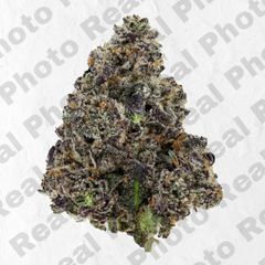 Black Truffle - Topshelf Indoor - New Drop - Indica